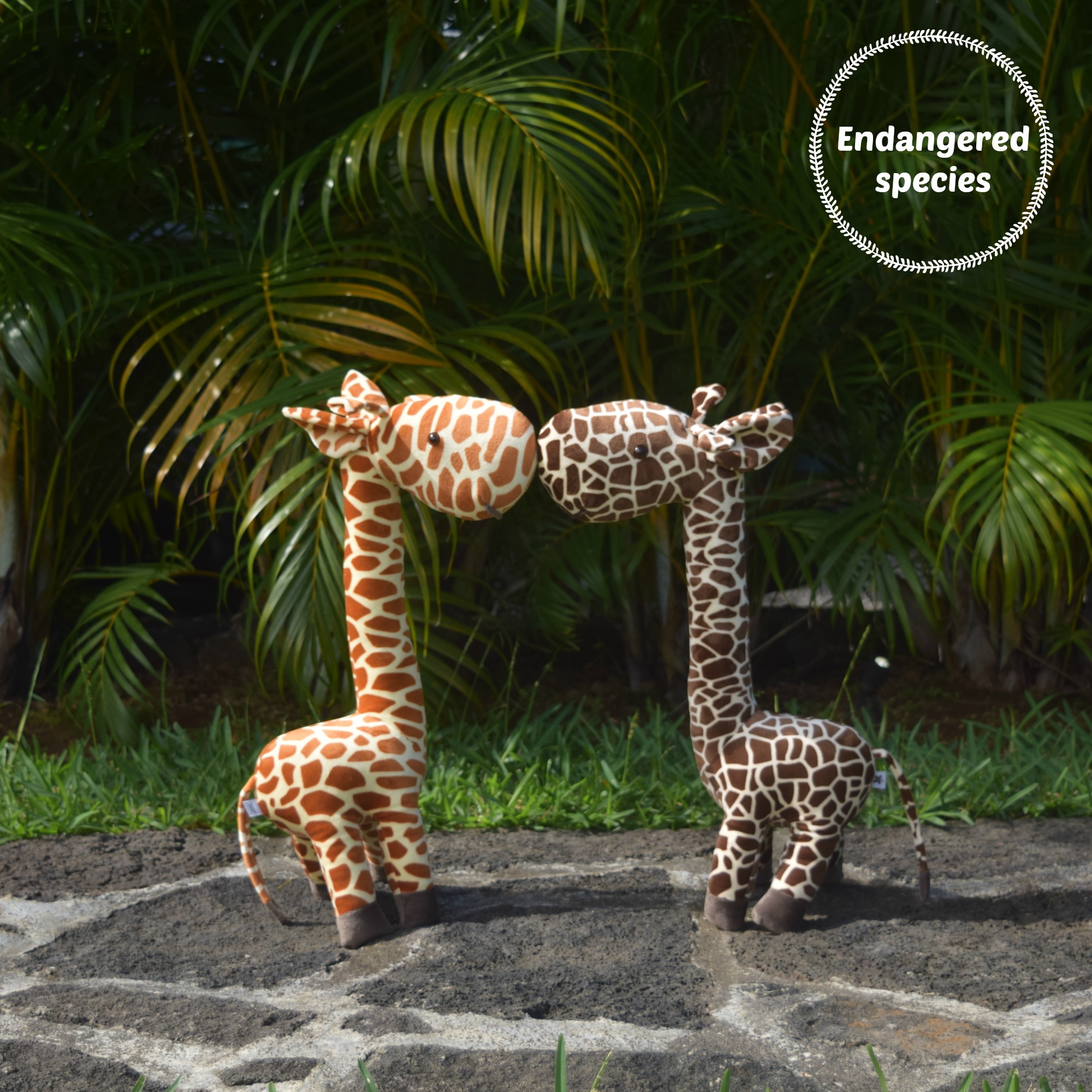 Arlii La Giraffe » Polly Esther Ltd